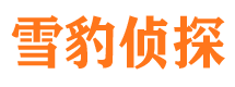 仪征外遇出轨调查取证